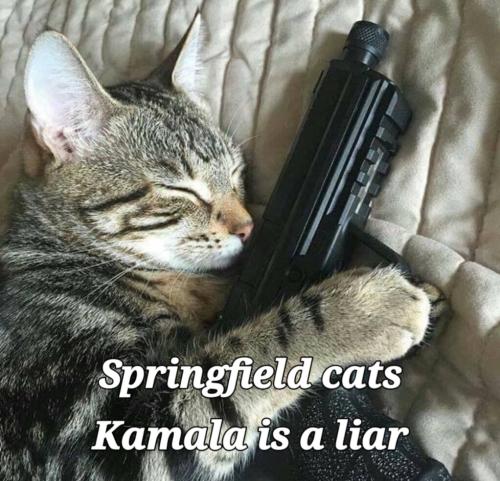 02:37:39 GMT-0700 (PDT)