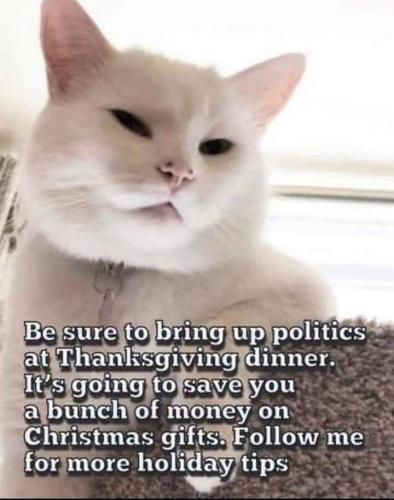 0517ea6ddc0d3dc1539c65af00efe39c