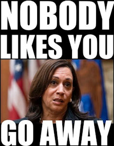 kamala harris538