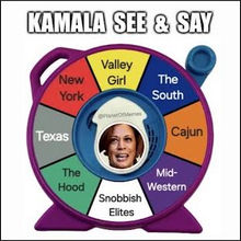 kamala harris493