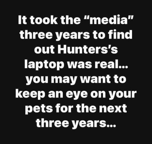 97bad49e-2f62-4ae0-8505-1313591ef7fd