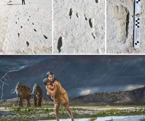 1f375bb6-8840-4bf5-b4d8-a4d6ce21a12a