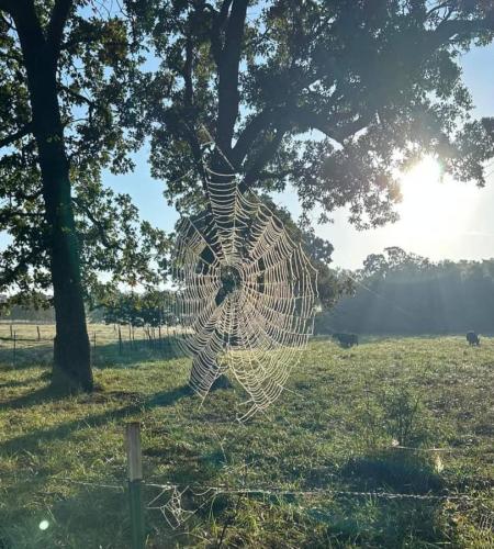 9bd8faed-b850-48d4-860d-daea65cd4000