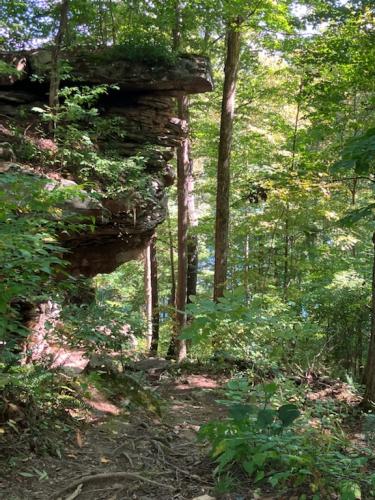 D1160B9D-C517-4C34-A42C-B9170D82B08B