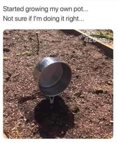 c9f9f157-c5e2-4cef-8392-087e9ee97b41