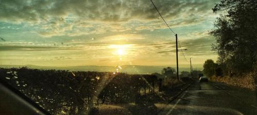 IMG_20240913_071522523_HDR