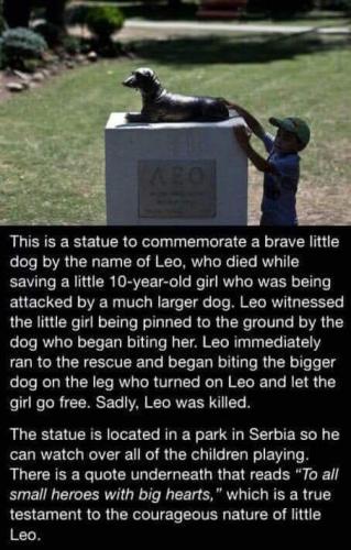 C1095F6B-1785-4BE7-A4D7-9761484F6CD2