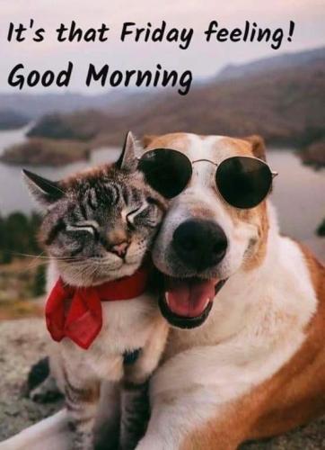 13:34:38 GMT-0500 (CDT)