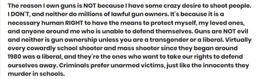 The reason I own guns narrative