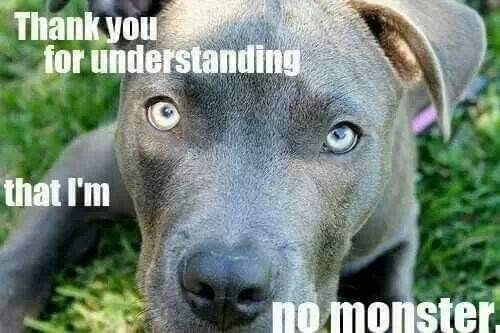 58835ac5f46701f6d48ca7d929d3bfa8