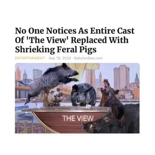 eed9f40d-3432-433b-9674-bd53b7784bcb