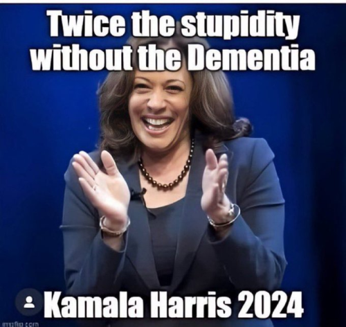 image_2024-09-03_062442724