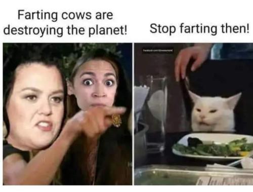 4885354ee7ae9c08bac042adf07e4301