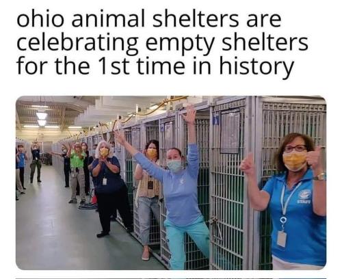 FB_IMG_1726529176214