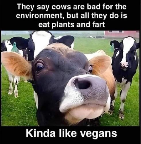 b68109e3-20cf-4448-b09d-94bd8085bb89