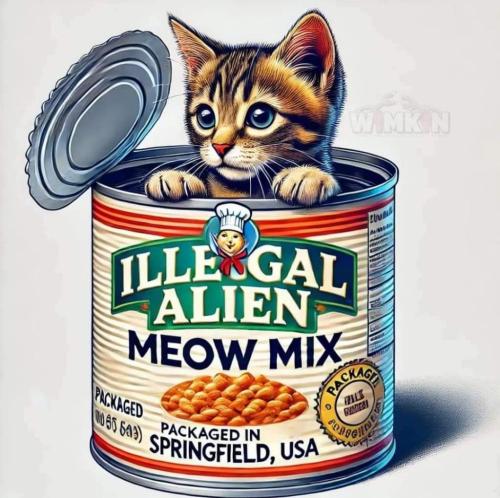 ea1c6b3f-0c0d-49ab-b270-112bcf348ad4