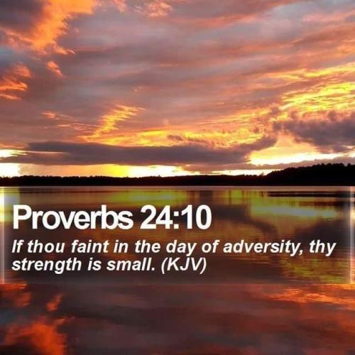 4de1f69c-1f82-4e6f-b9d9-a22e9ab658e8