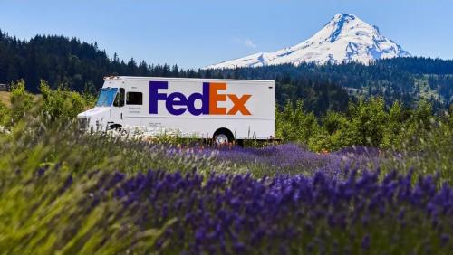 Screenshot_20240930-163116_DO Multiple Space