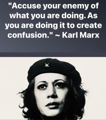 A0F696C8-8329-4032-9EAF-8C323EBFFD58-4657-000000A6FF9AAA9D