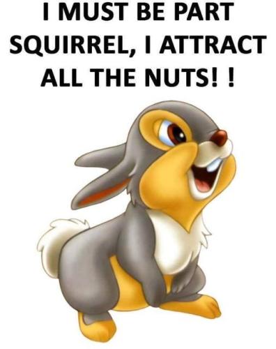 459033157_10226691009961727_5453836566468822316_n