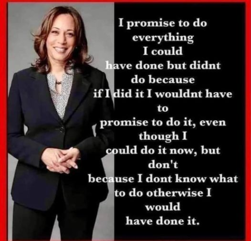 image_AC7FF453-9B16-4083-8487-E1A7939A404F