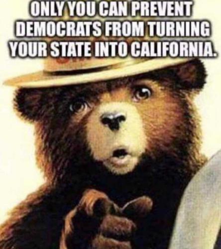 d26b3d5c-07a2-4903-aca0-d04de1e95caf