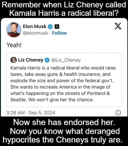Remember when Liz Cheney