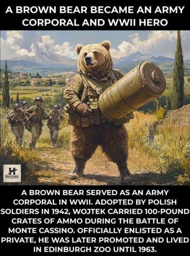 461075941_122138062748330721_956901101775348967_n