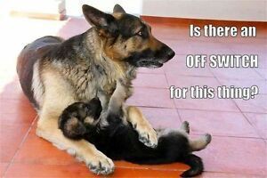 f5e7bec95606c8eaf7f2e445a4c8bed0