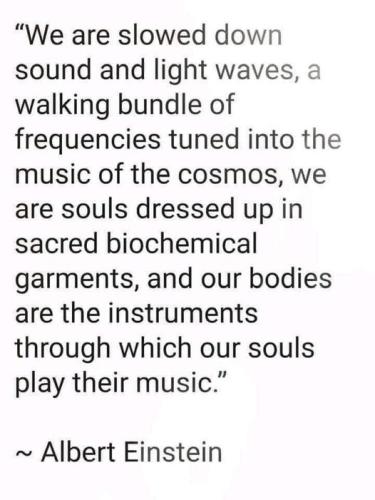 ,                          ,