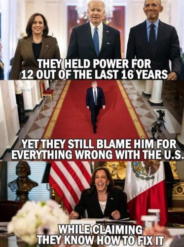 360786bd-e206-478d-80ff-0f7afd16135a