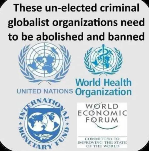 Screenshot 2024-09-24 141619