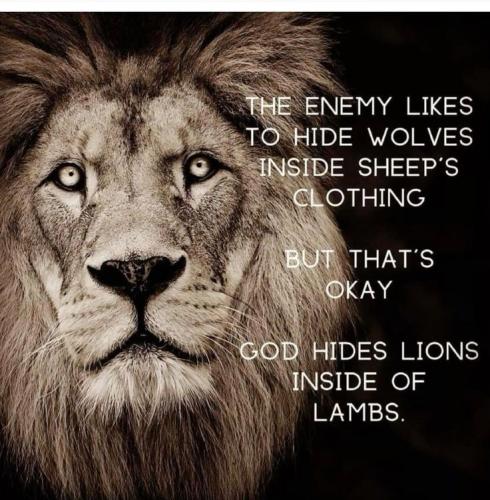 ad94357dba3348accd780328d928c21b