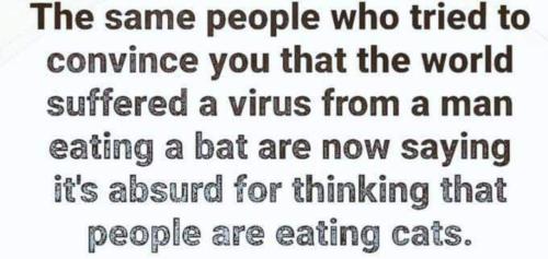 image_F89ACEB3-E293-4B9B-ACB7-D559D1D1FECB