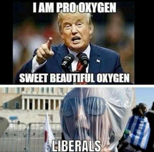 6babbe5885a88ff0568ce00179d03805