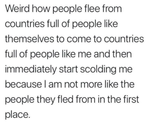 image_2024-09-25_061451896