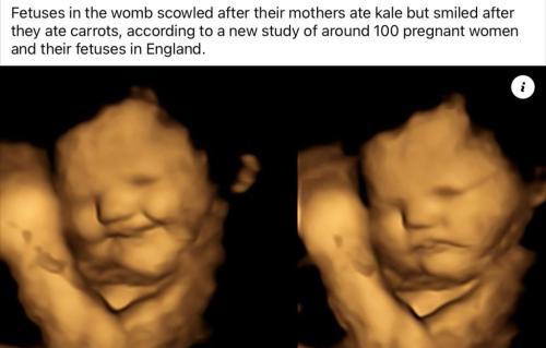 E167C25F-077A-4B76-BA6F-A950FF4DCAA2