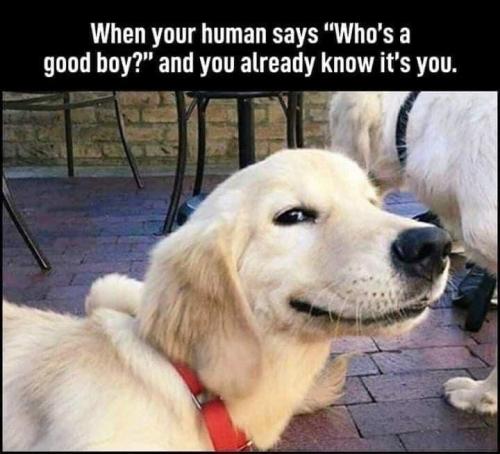 F0B2FBA0-61EC-4ABF-9334-1DF2E1E936DC