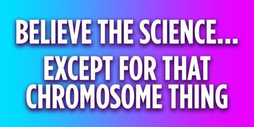 Chromosomes