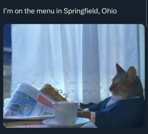 photo_2024-09-09_20-01-41