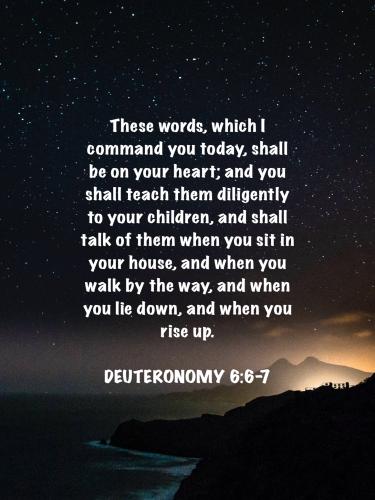 Image-1 2