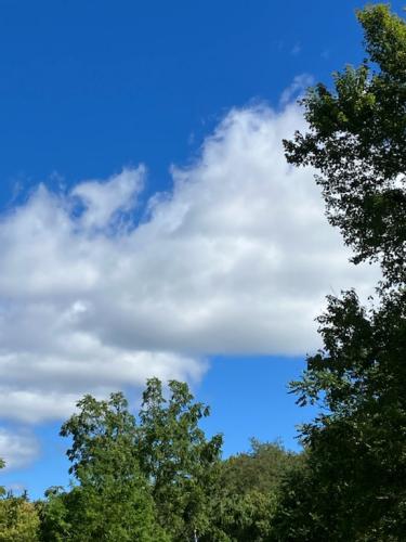 CC9DF4CC-9371-43F5-8377-E90B53583FBF