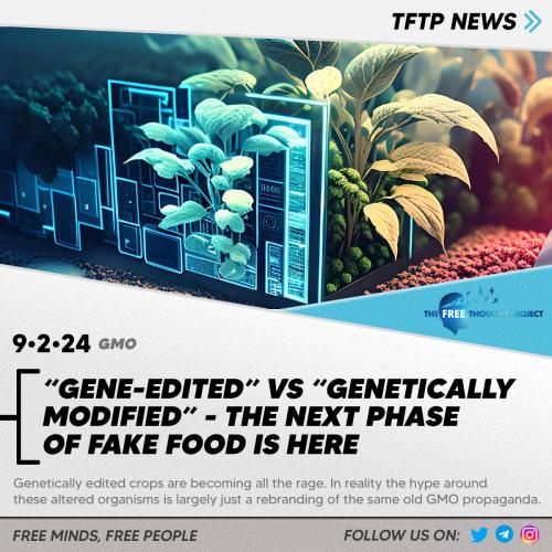 4555555555554454545454544