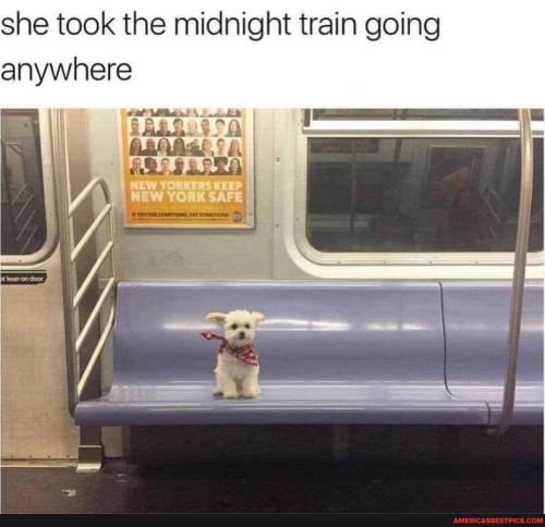 9aaaaa7c5b56e56bab1027ed195690ee2a01036ddaf4f8de0d193c86d99f9c12_1