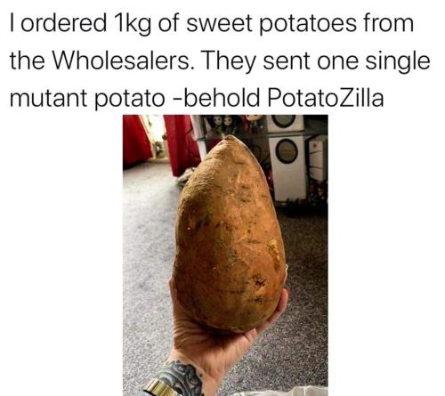 potatozilla