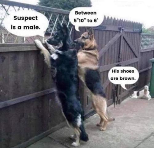 2db184648c3d4a6025f076c189de0e98