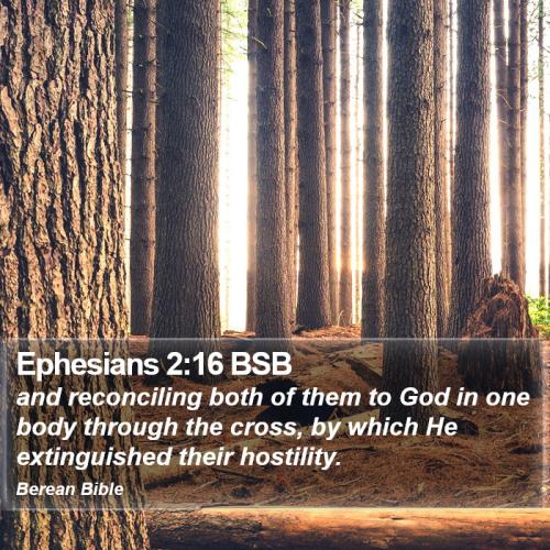 Ephesians 2_16