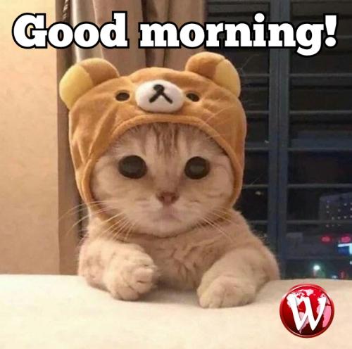 Polish_20240910_111136259