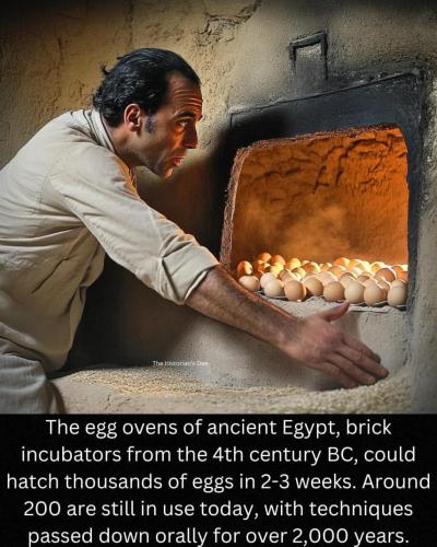 E3DC27AE-912F-43E2-9F02-B9F5801E4039