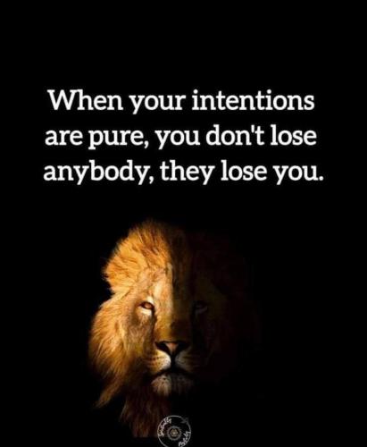 IMG_20240926_043310_591